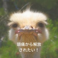 頭痛緩和