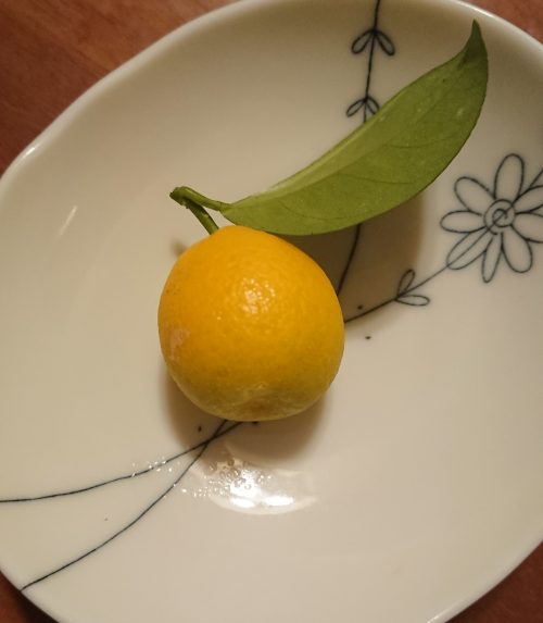 きんかん