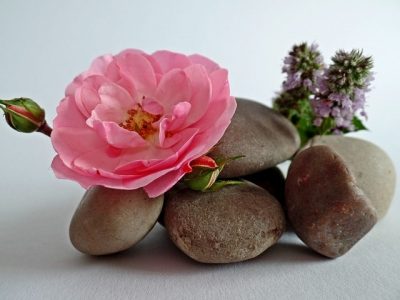 石とピンクの花のバランス