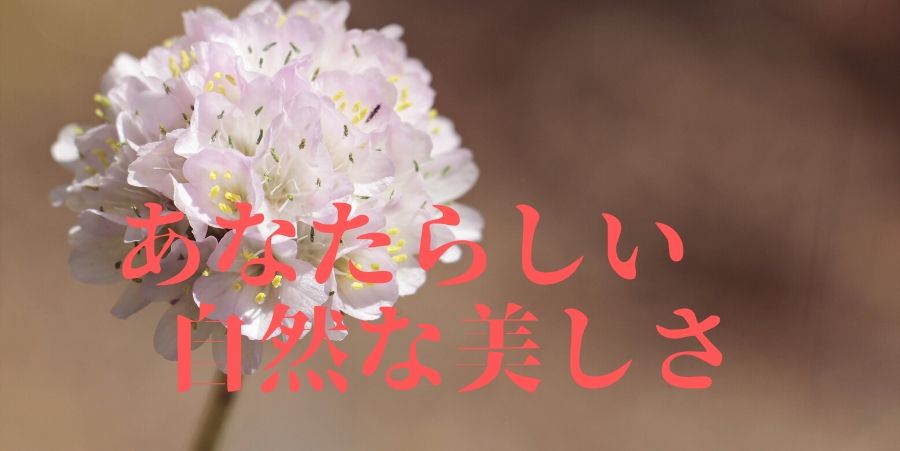 あなたらしい自然の美しさのキャッチコビー画像