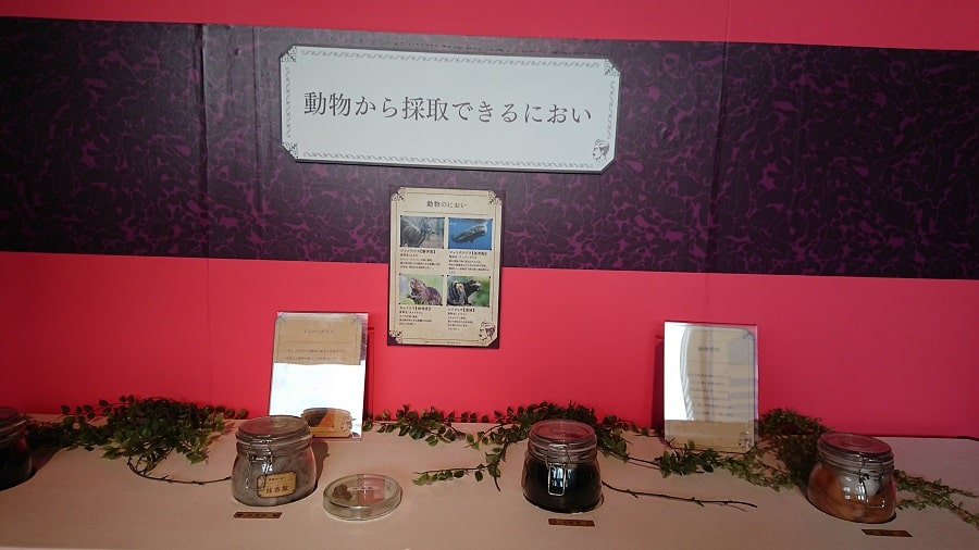 動物香料