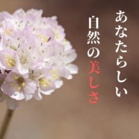 あなたらしい自然の美しさ画像