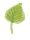 葉っぱ