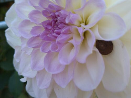 オンリーワンの取扱説明書のイメージ画像